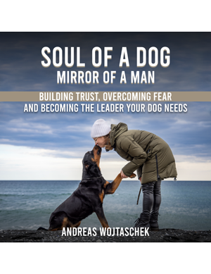 Audiobook