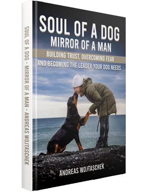 Paperback Book